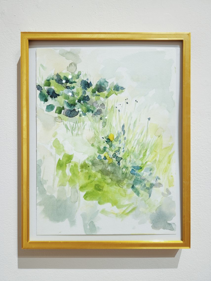 Kristin Golden "Dandelion Glow,"
2022. Watercolor, 11 ¾ in. x 13 ¾ in. Part of the "2023 Bachelor of Fine Arts and Bachelor of Arts Exhibition," University of Southern Maine Art Gallery.