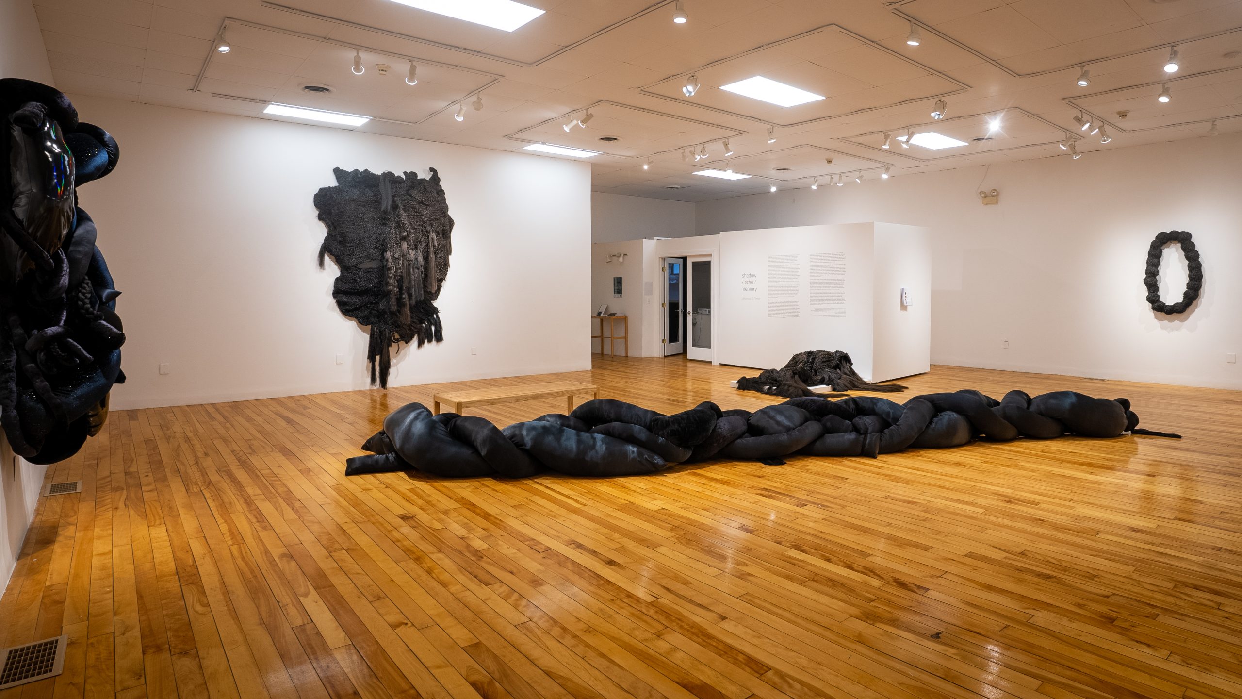 "Veronica A. Perez, shadow / echo / memory," 2023. Installation view. University of Southern Maine Art Gallery. Photo: Jack Stolz.