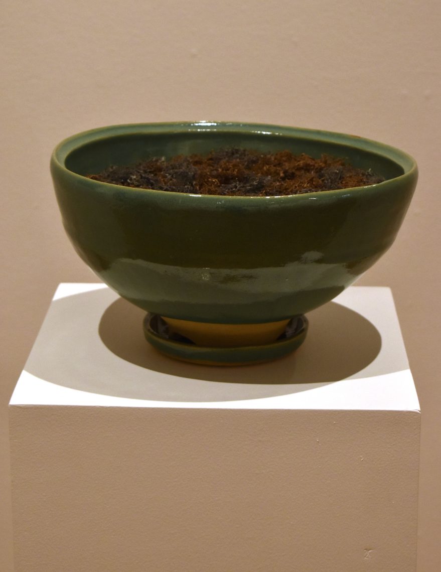 Isabella Deep, Planter 3, 2024, Tan Stoneware, glaze, 10 x 16 x 10 in.