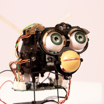 A dearticulated Furby face.