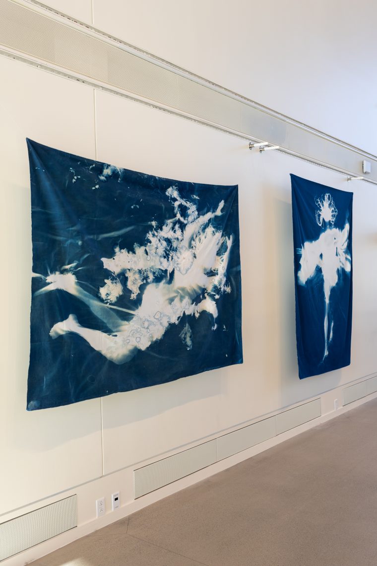 Work by artist Heather Lyon, Part of  "Of Sibyls and Source: Ranges and Ruptures," 2026. University of Southern Maine Crewe Center for the Arts.