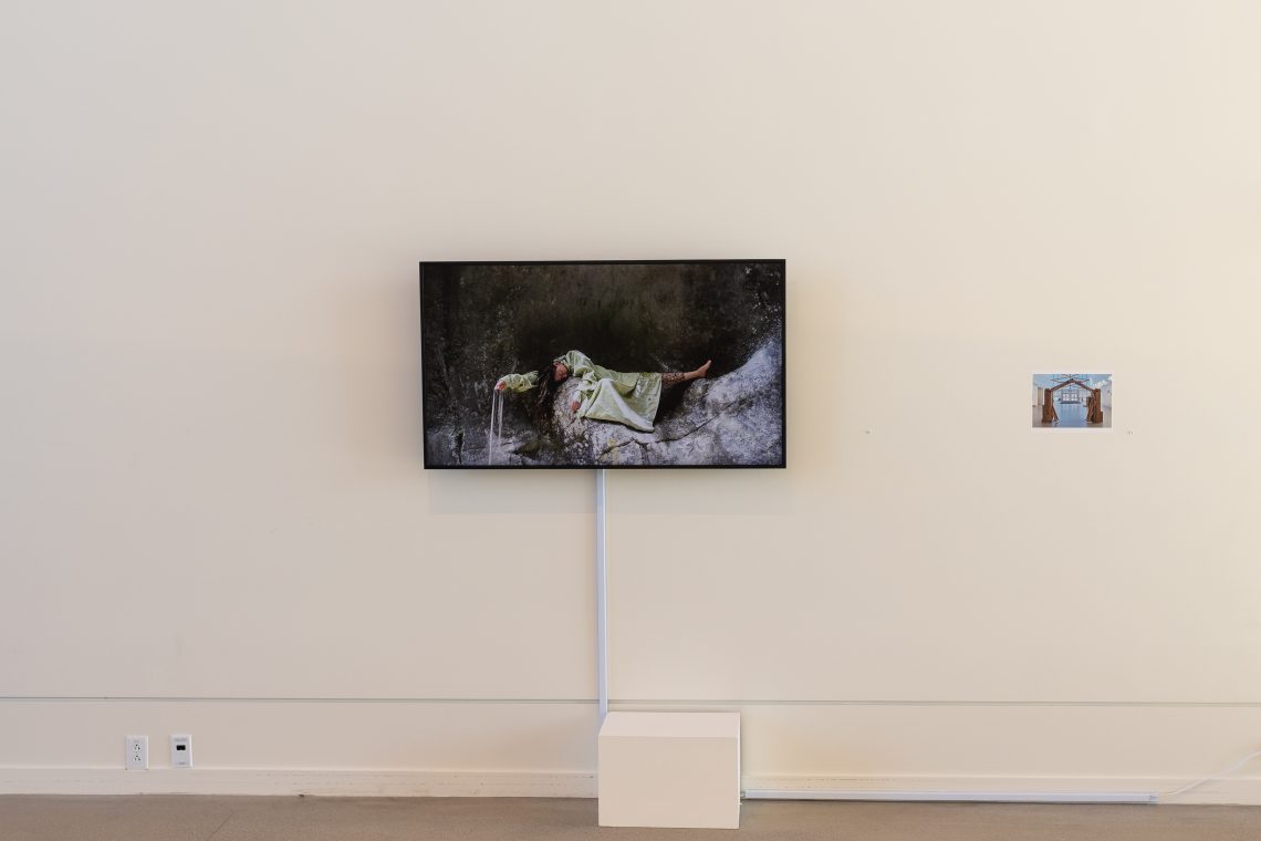 Heather Lyon, "Parnassius mnemosyne (Clouded Apollo Sibyl)," 2024–25. Single-channel video, approx. 25 min, looped. Filmed in collaboration with misael soto in the Parco Nazionale dei Monti Sibillini, Italy, and Luke Myers in Acadia National Park, Mount Desert Island, Maine. Part of "Of Sibyls and Source: Ranges and Ruptures," 2026. Crewe Center for the Arts at the University of Southern Maine. Photo: Marion Earley.