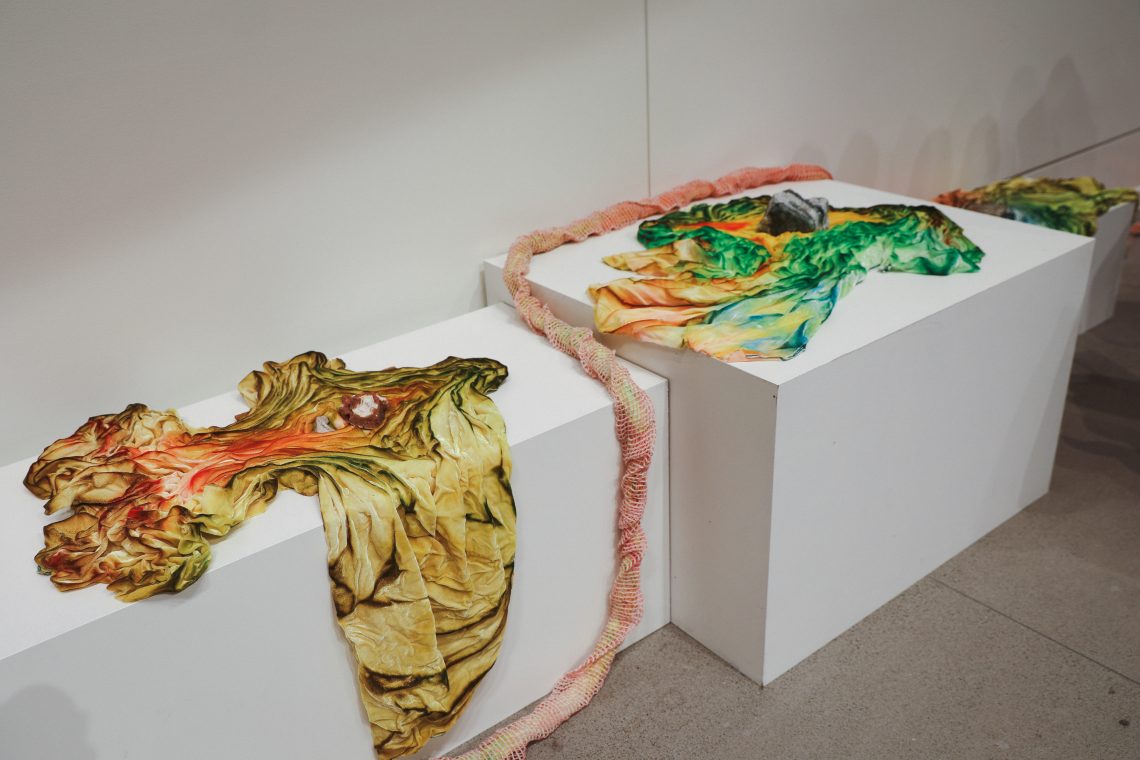 Samantha Jones, "Desideration of Stones," 2026. Stone, hand painted silk velvet; dimensions variable. Part of "Of Sibyls and Source: Ranges and Ruptures," 2026. Crewe Center for the Arts at the University of Southern Maine. Photo: Vivienne Predock.