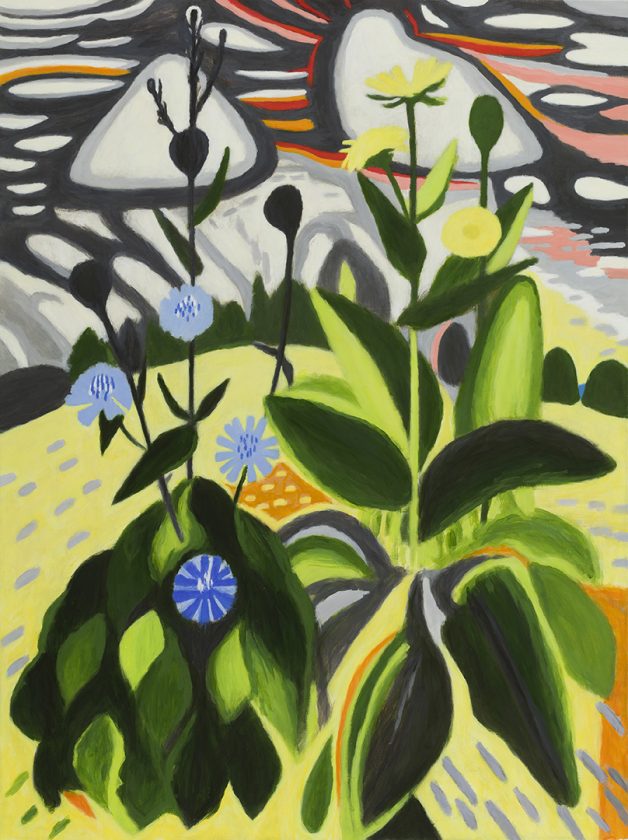 An image of stylized plants in the foreground and rocks in the background