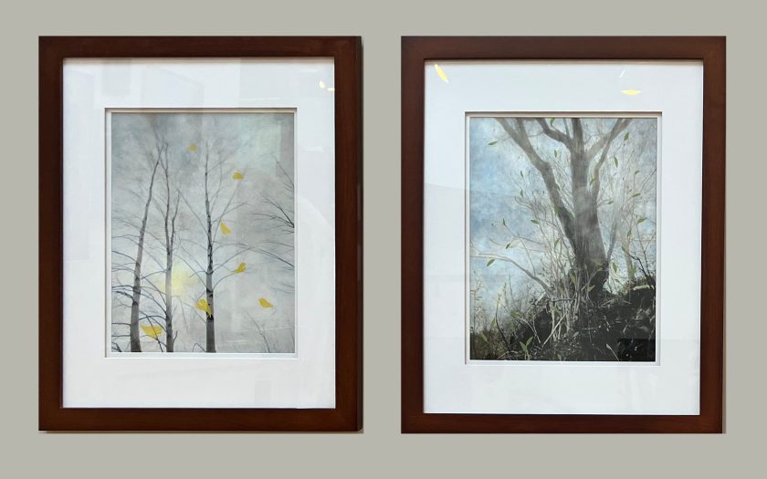 Two side by side images of photographs of trees in frames.
