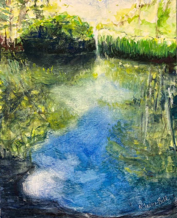 An image of looking into a pond with green vegetation