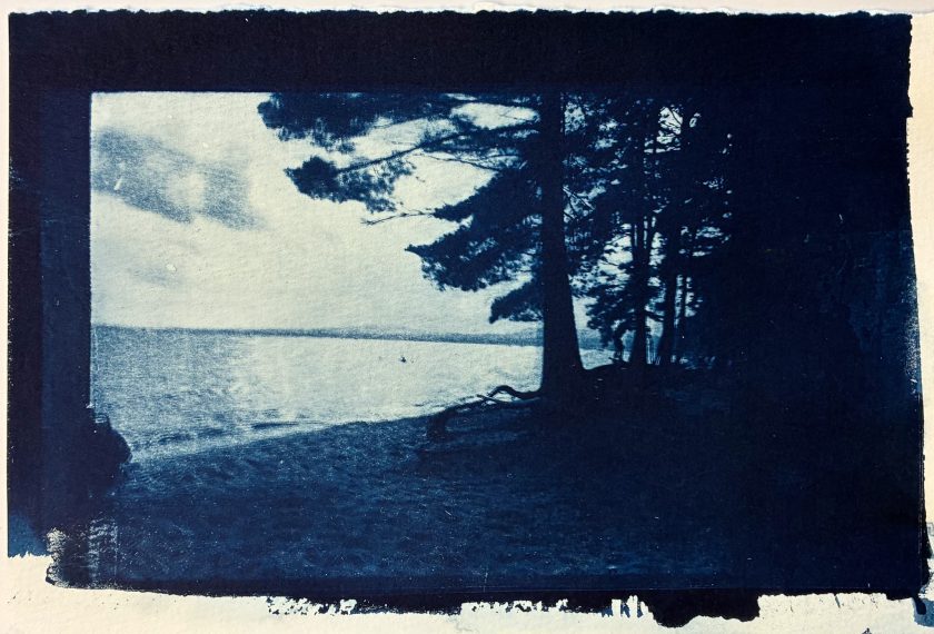 A blue and white image of a beach with trees on the right side