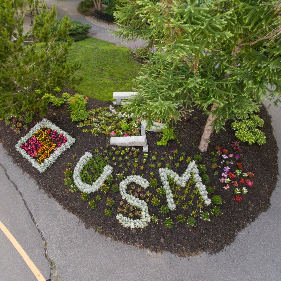 an aerial view of a mulched flower bed with colorful flowers and "USM" spelled out in white flora