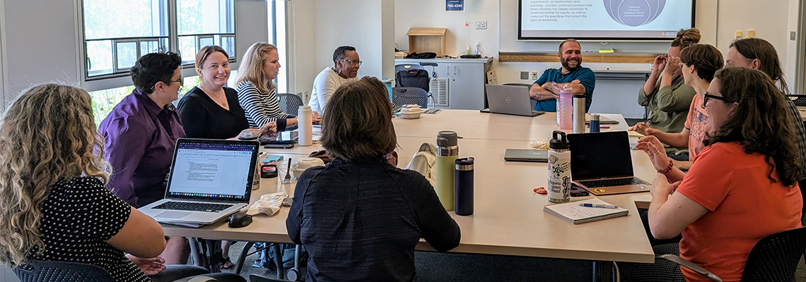 IDEC Steering Committee members in a discussion in a meeting room