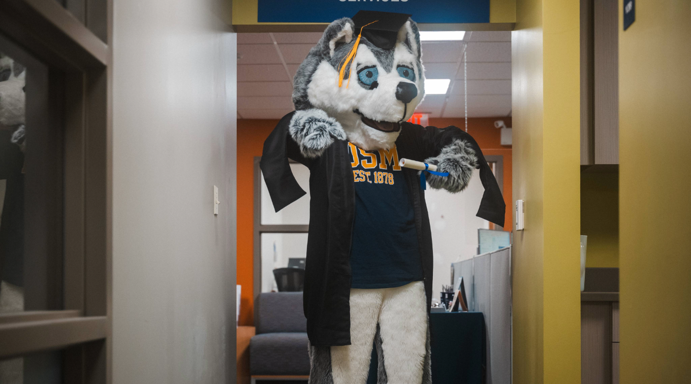 Husky Mascot in Graduation Robe