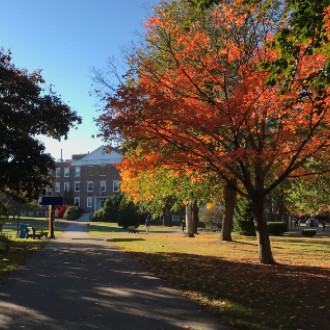 Fall foliage frames Payson Smith Hall.