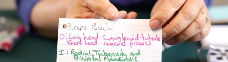 Benefits of Flashcards for Kids: Boost Learning & Memory