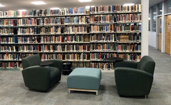 Padded Chairs in Front of Books