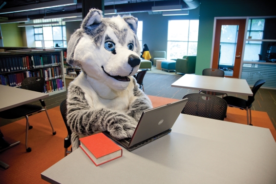 Husky Mascot using computer