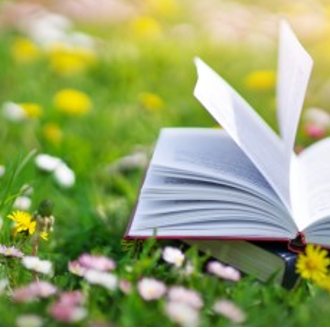 Open book in a field of grass and dandelions
