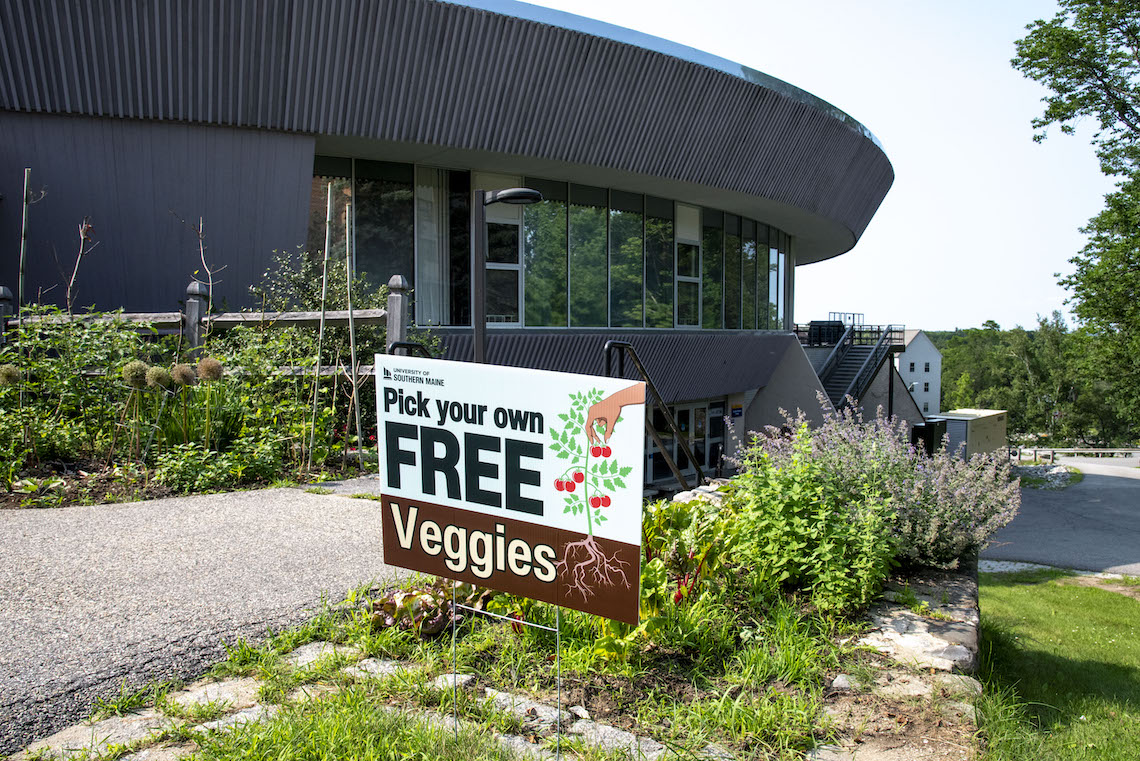 Zack Morin designed the sign welcoming visitors to the vegetable outside Brooks Student Center in Gorham.