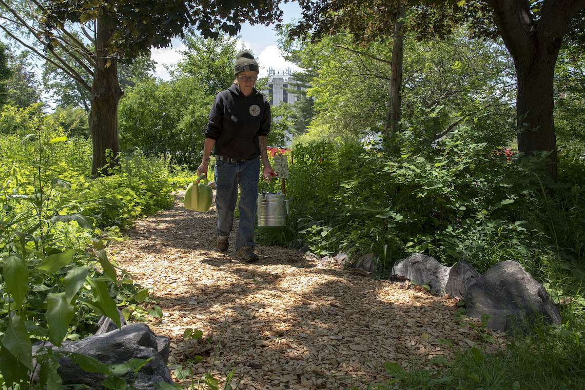 Between rain storms, T. Love Smith makes sure the plants in the pollinator garden have enough water to stay healthy.