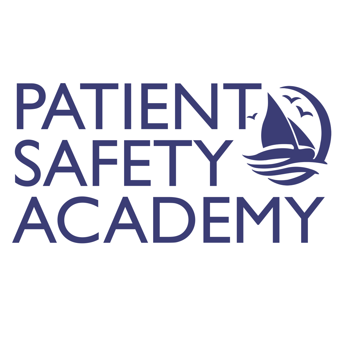 Maine Patient Safety Academy logo