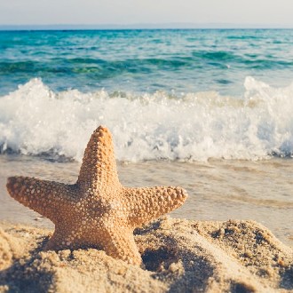 Starfish standing in the sand in front of a crashing ocean wave