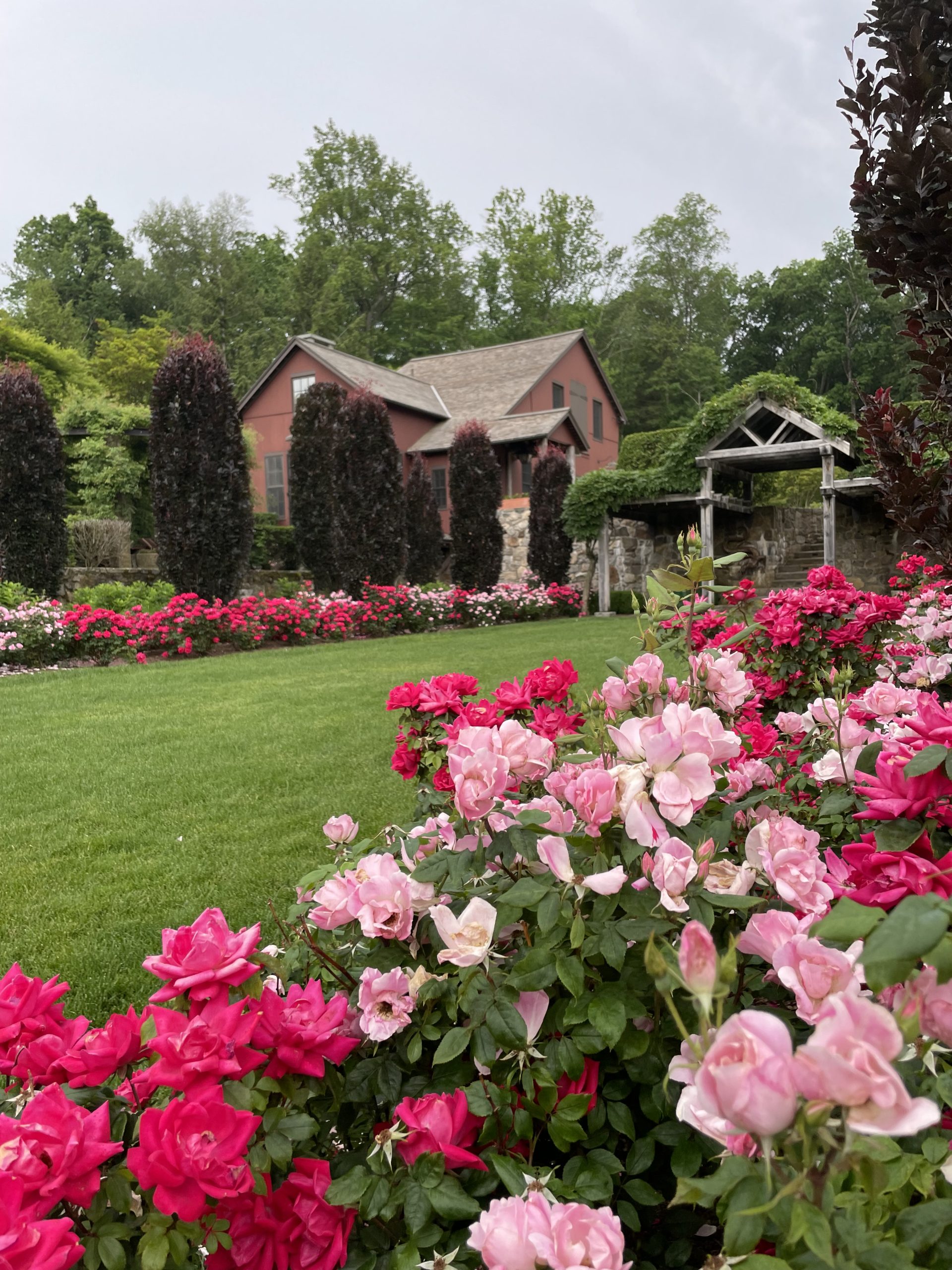 inSitu retreat center buildings with rose garden in the foreground