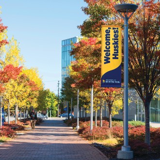 Walkway to Glickman Library with fall foliage