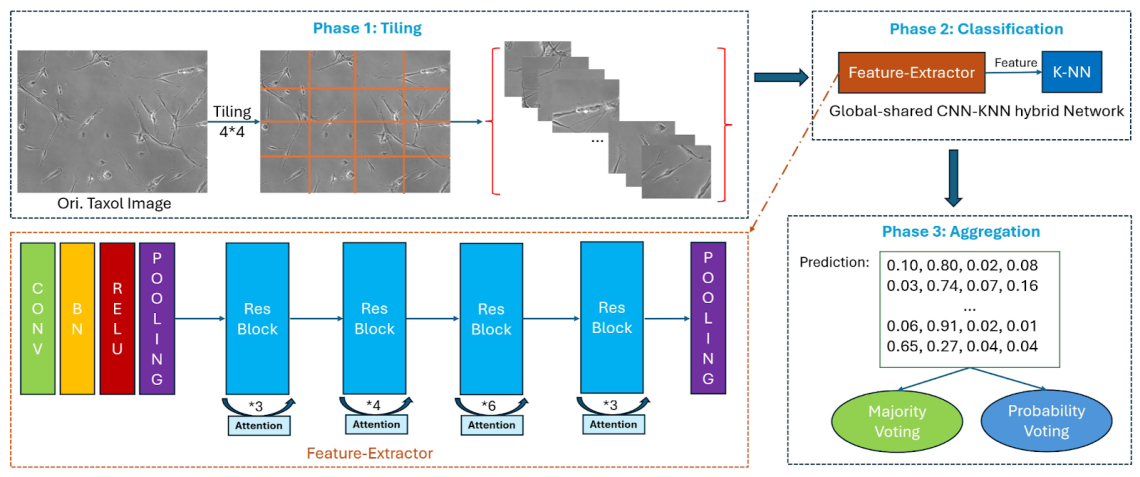 Overall pipeline for paclitaxel exposure classification