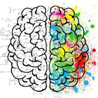 Drawing of the top view of a brain with math principles written on the left side and lots of color on the right