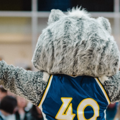 Back of Husky Mascot Champ, in front of public with arms raised.