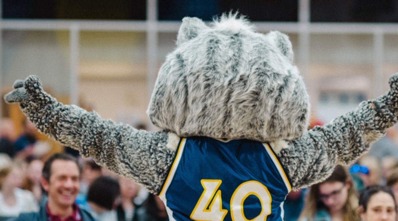 Back of Husky Mascot Champ, in front of public with arms raised.