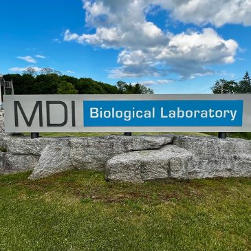 MDI Bio Lab
