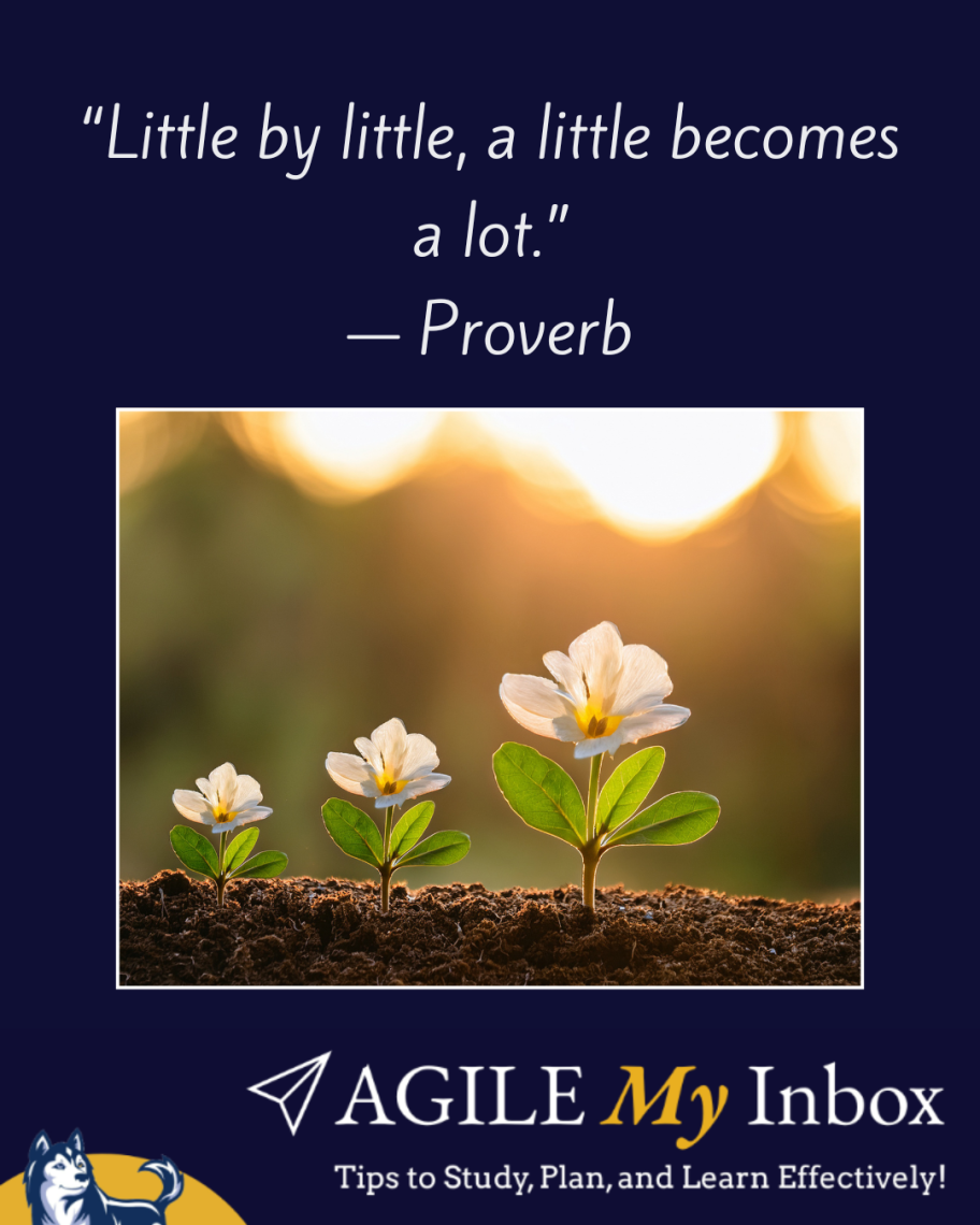 "Little by little, a little becomes a lot" proverb with image of three flowers in different stages of growth