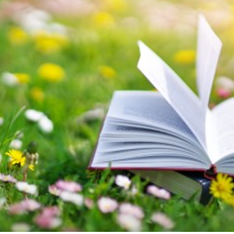 Open book on top of grass and small flowers