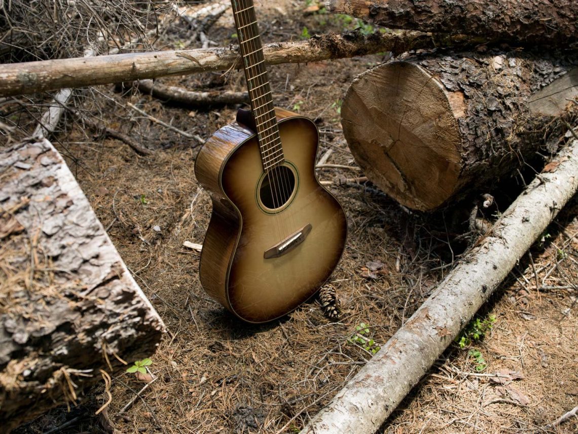 The Black Ram guitar placed between two sawed logs, illustrating its origin from a section of tree