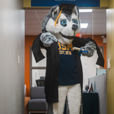 Husky Mascot in Graduation Robe