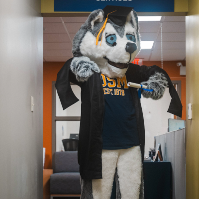 Husky Mascot in Graduation Robe