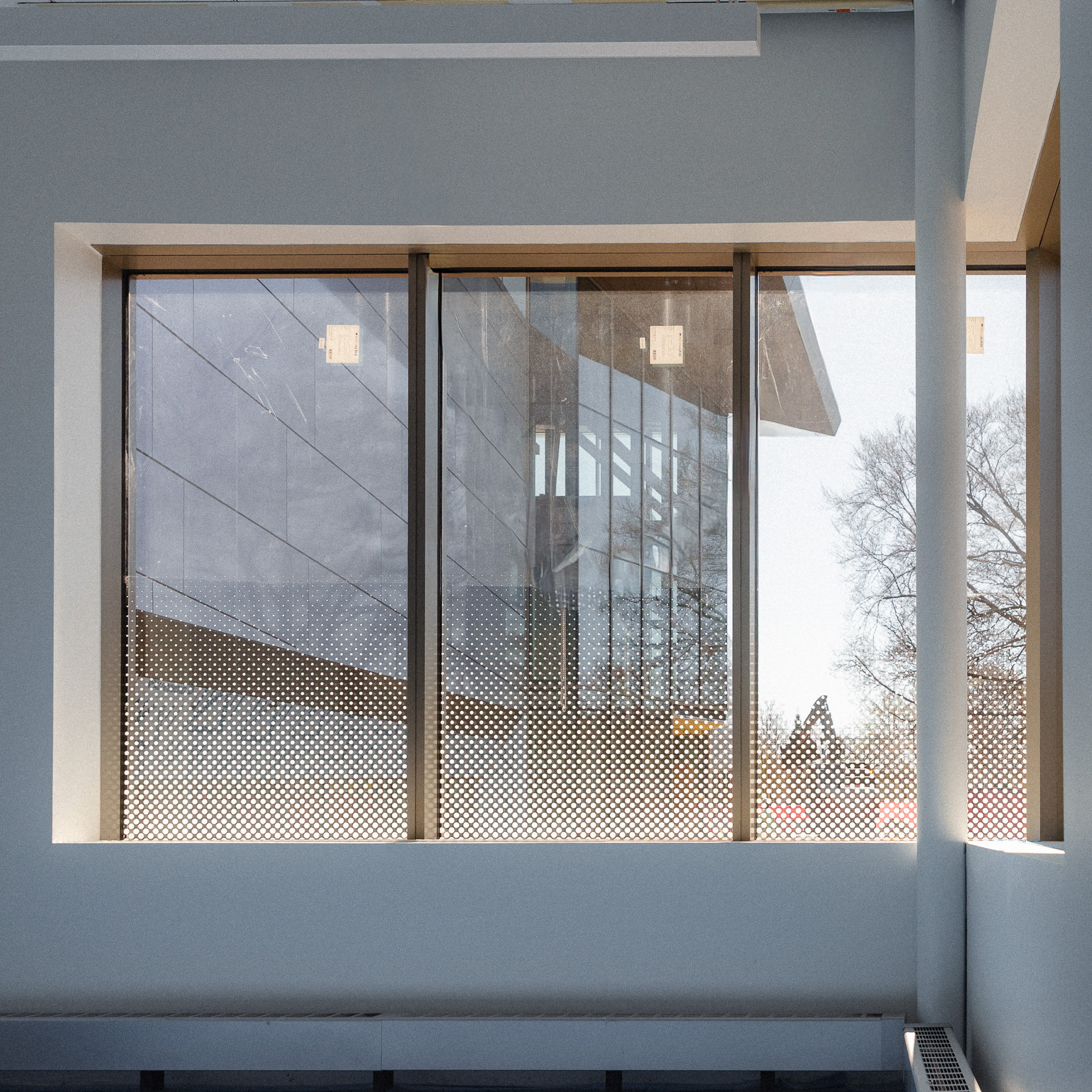 Crewe Center windows treated with bird deterring film.