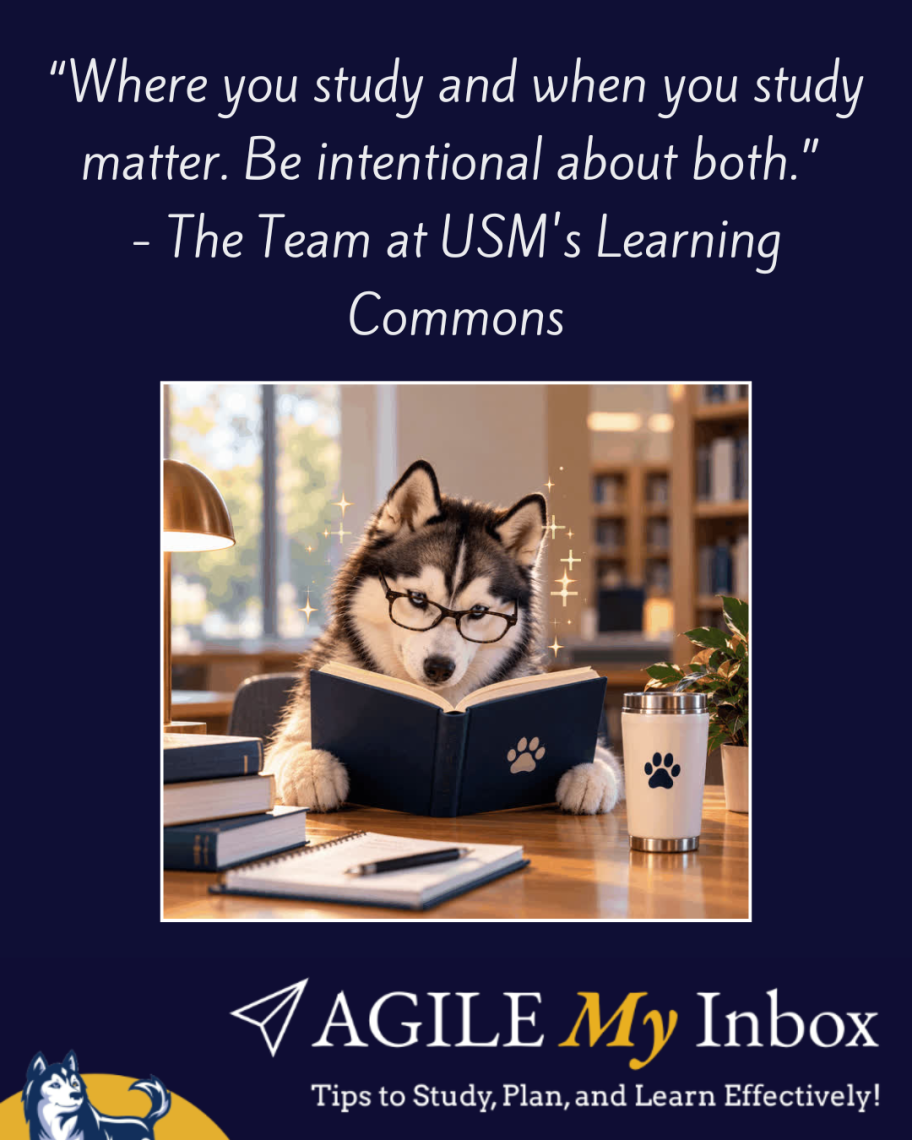Husky with glasses reading a book in the library