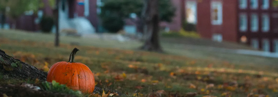 A small pumpkin is partially hidden behind a tree root with a brick building out of focus in the background.