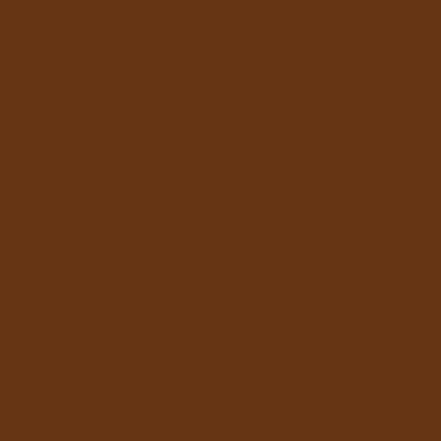 Secondary Color Palette, dark brown