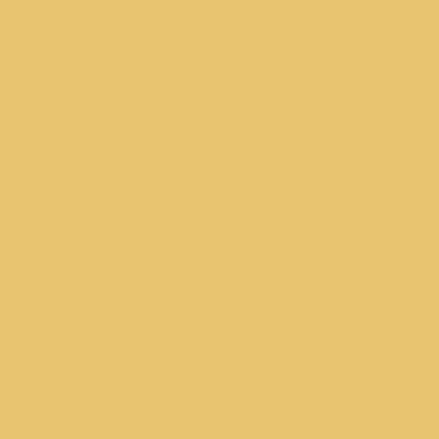 Secondary Color Palette, light brown