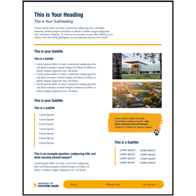 example flyer template 
