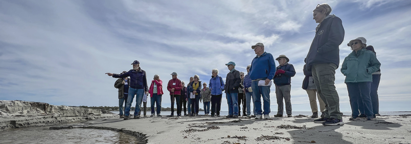 Classes Programs Osher Lifelong Learning Institute