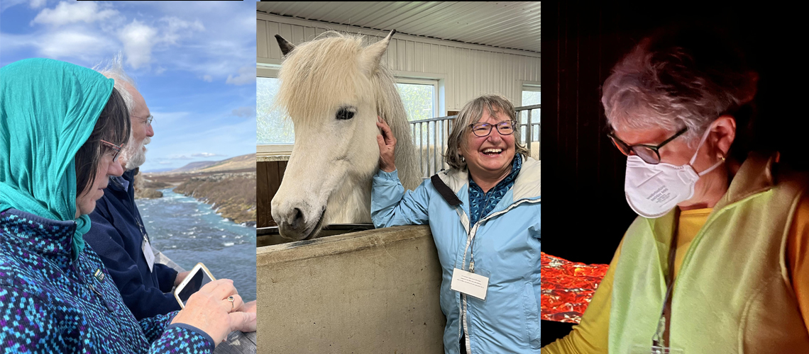OLLI members out and about. Showing 3 photos. Two people in Iceland. A lady laughing next to a white horse. A lady wearing a face mask in a museum