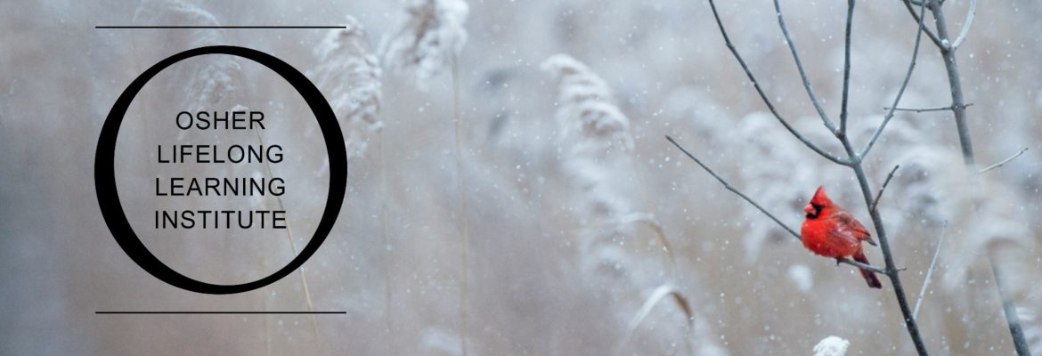 Osher Lifelong Learning Institute in a black circle with a winter scene and red cardinal in the background