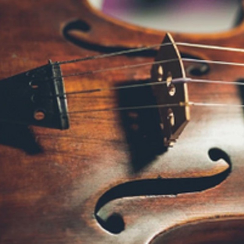 Close up of a violin bridge and strings