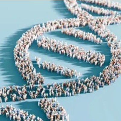 A strand of DNA created with multi-colored balls.