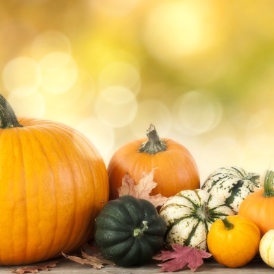 Pumpkins and gourds sit on a table with a blurred background.