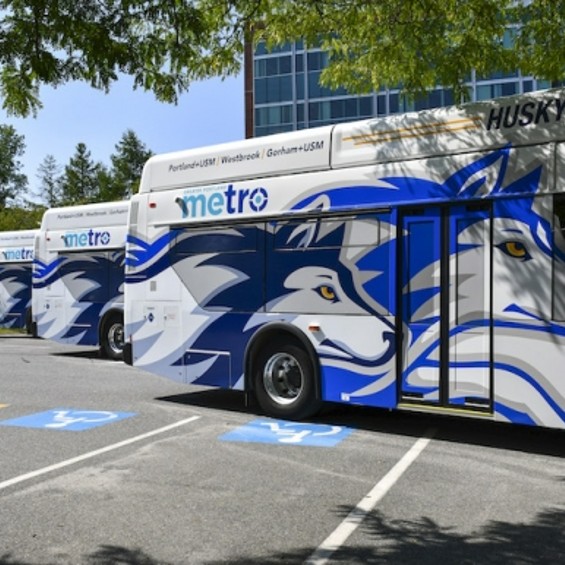 Three metro buses with images of huskies on each