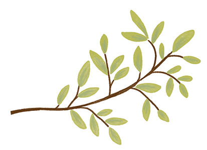 drawing of a small branch