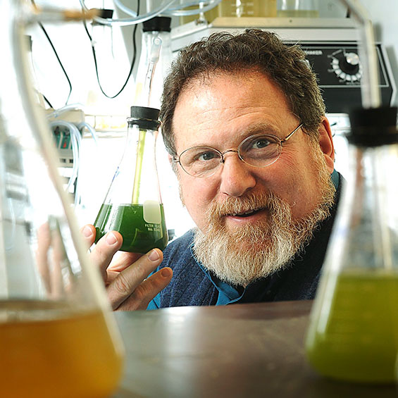 Professor Ira Levine holding up a beaker of algae in a lab. He is looking past two additional beakers to the camera.